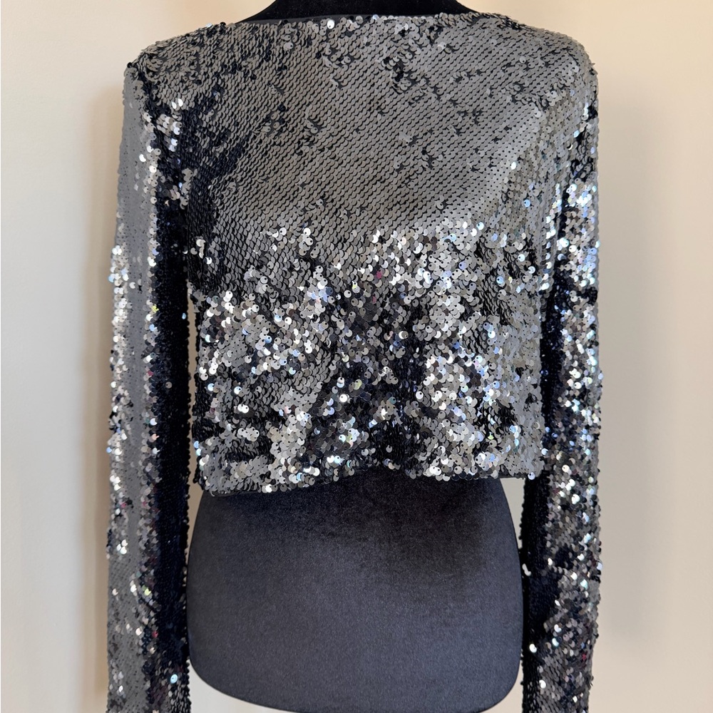 Dynamite Pewter Sequin Long-Sleeve Crop Top